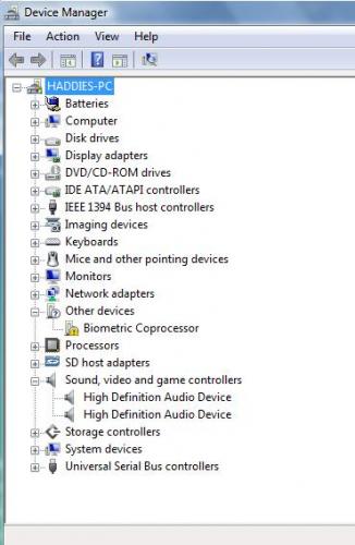 Device manager screen shot.jpg
